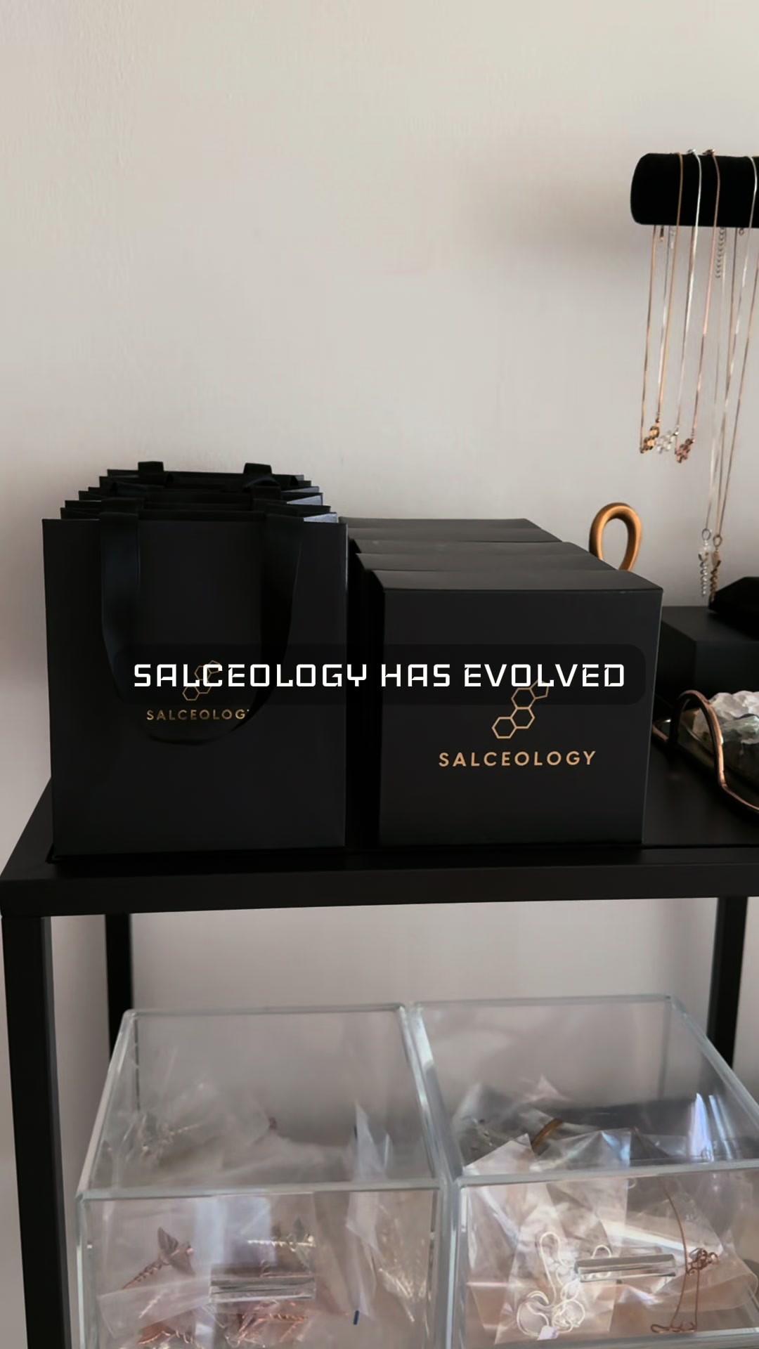 @Salceology