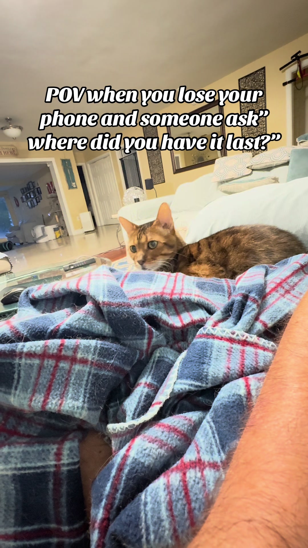 @Drew crazy cat guy