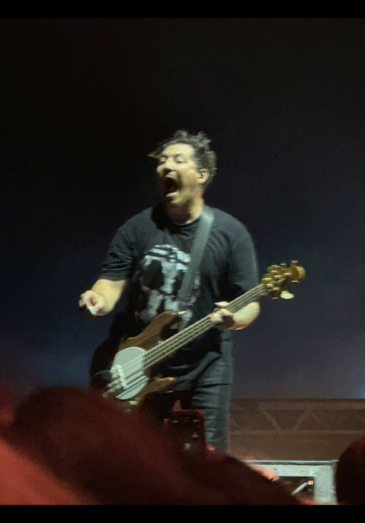 @elissaonthescene