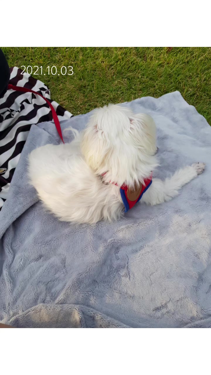 @초롱맘