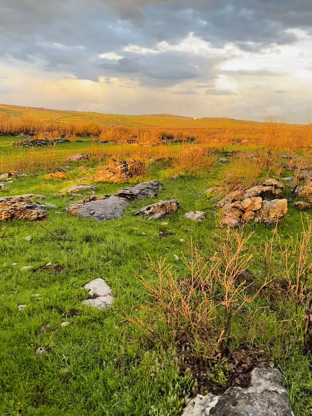 @Halit çavuş 21