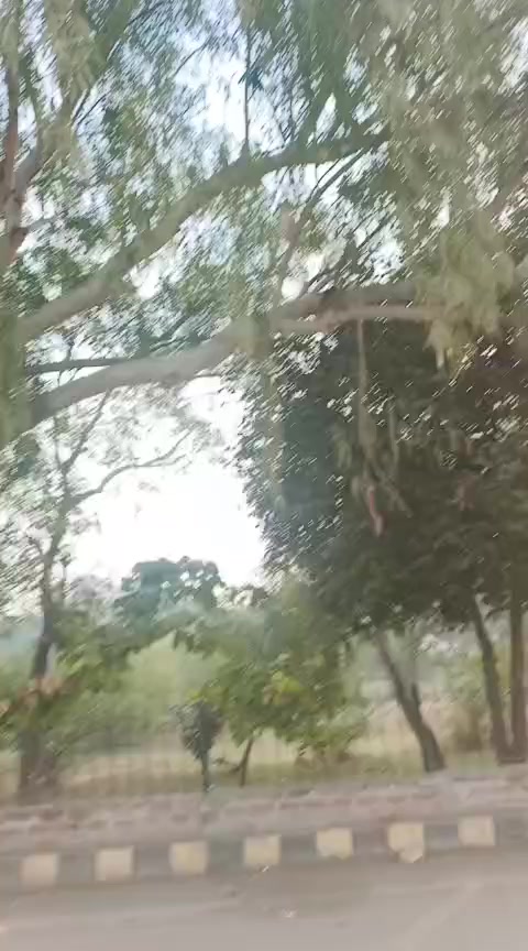 @ᏕᏗᎥᎦ ᏦᏗᎷᏰᎧᏂ💞