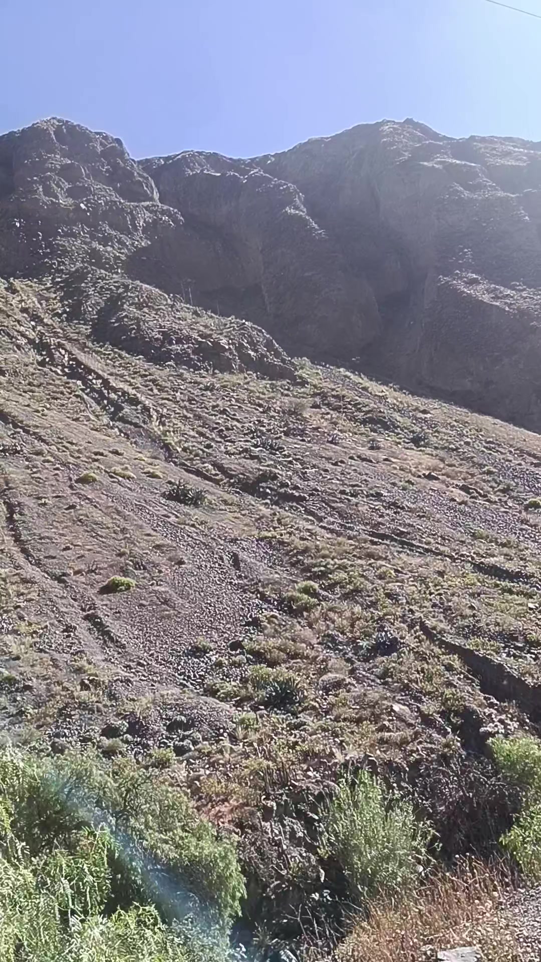 @Noguera carlos
