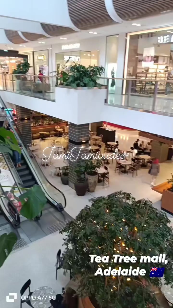 @Tami Tami