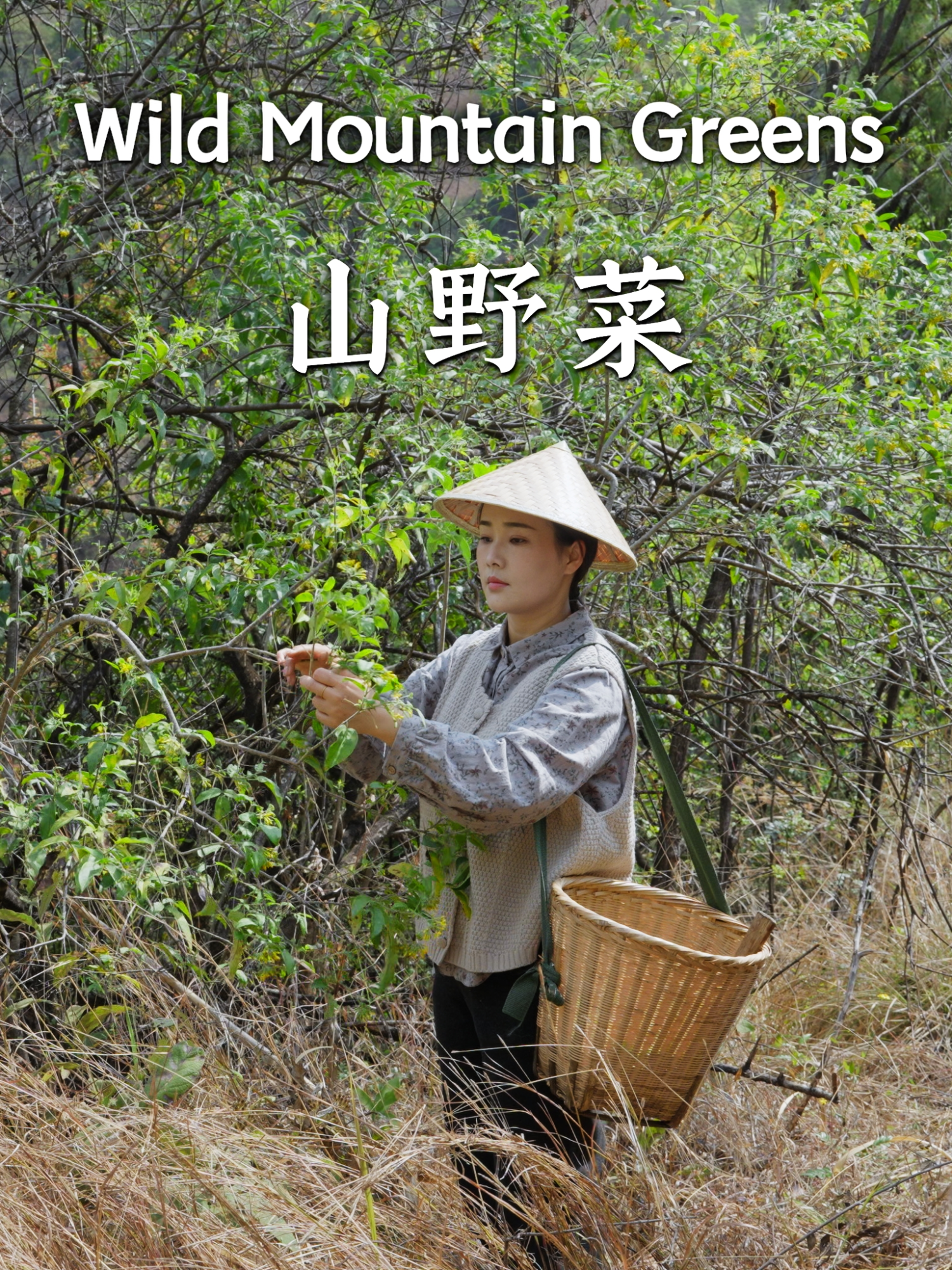@滇西小哥 Dianxixiaoge