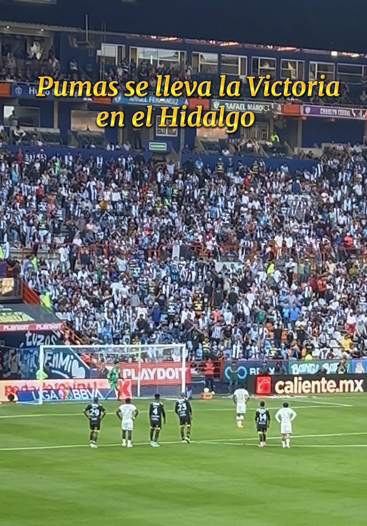 @KevinPalacios