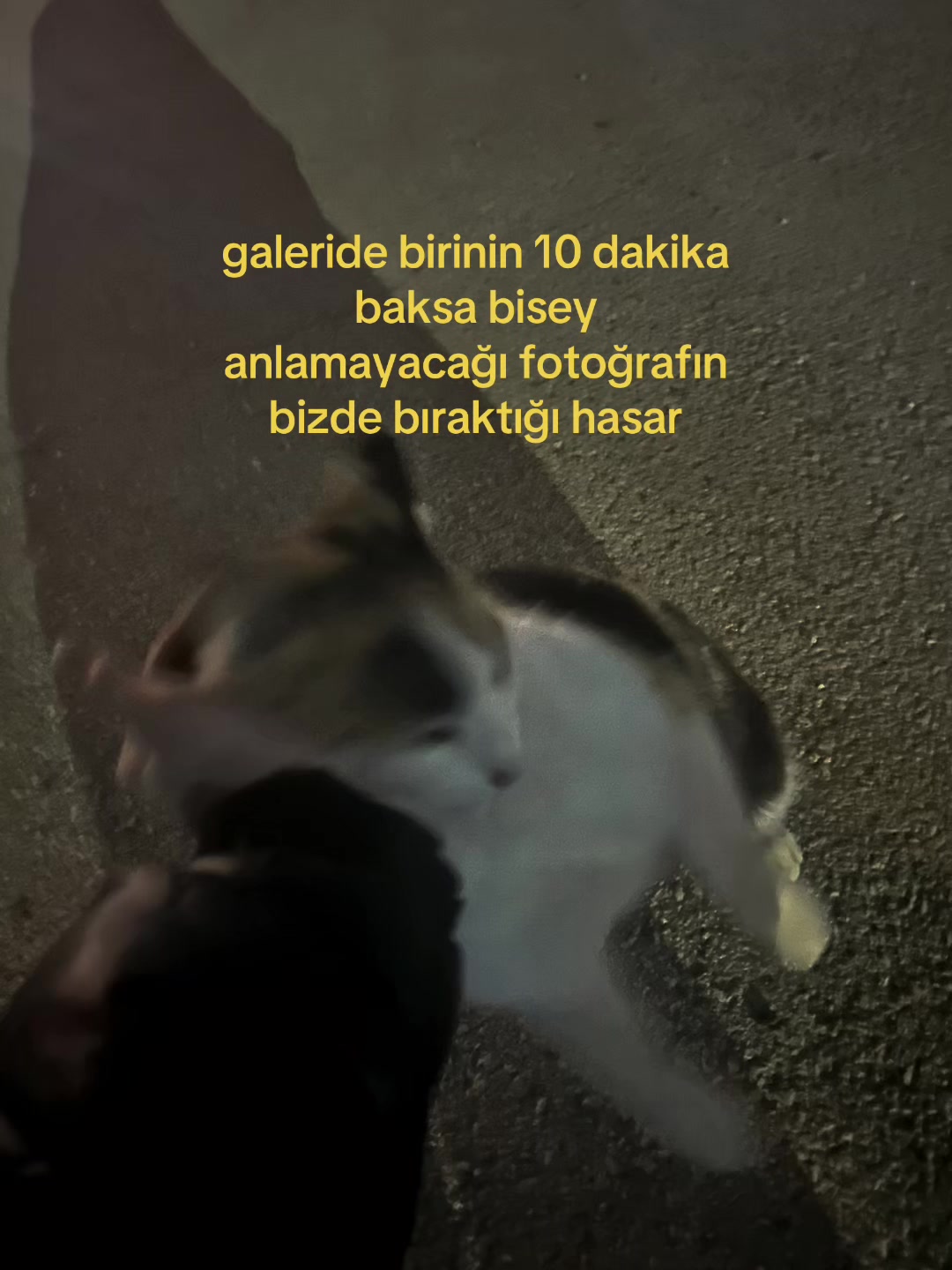 @Rabishka