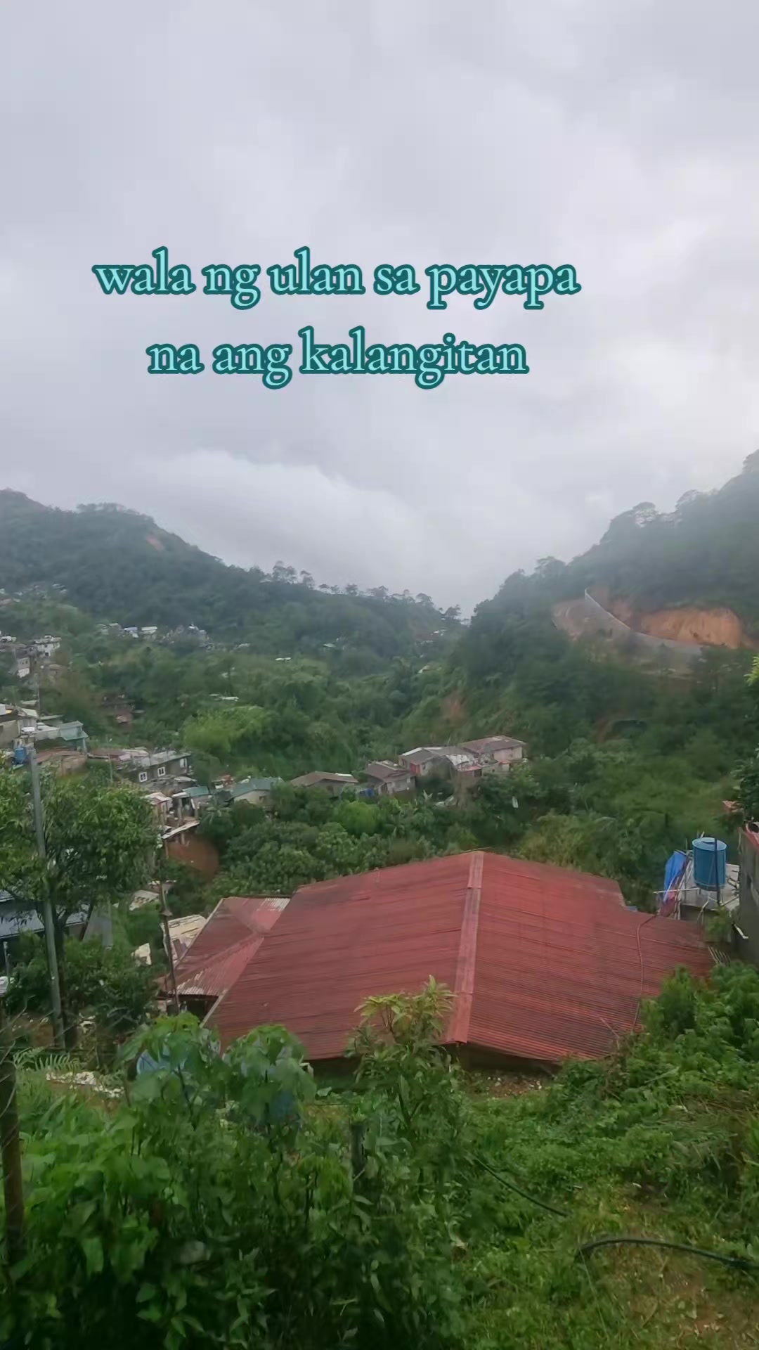 @Rimando baden(Lion Heart)