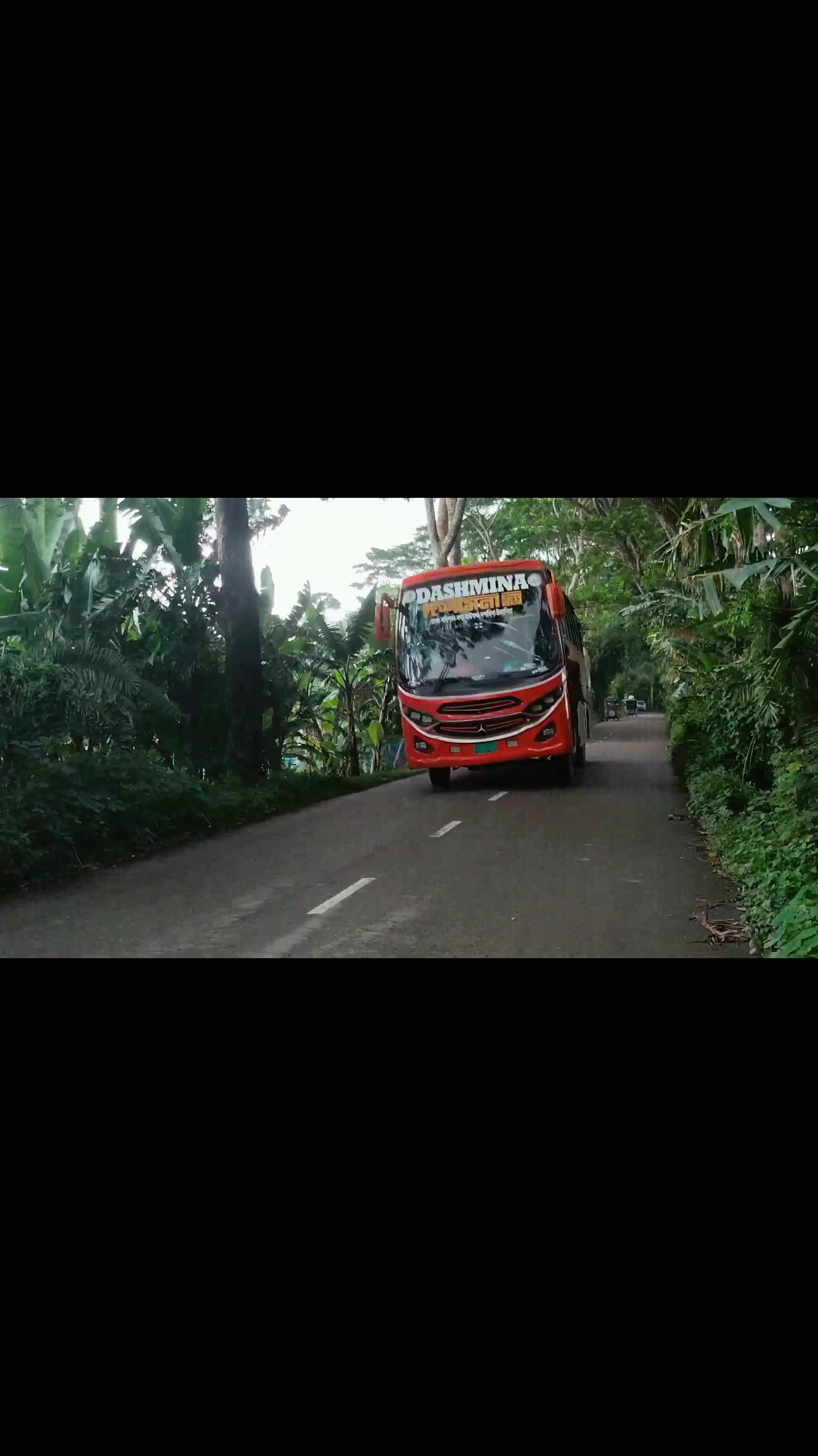 @bus lover joy