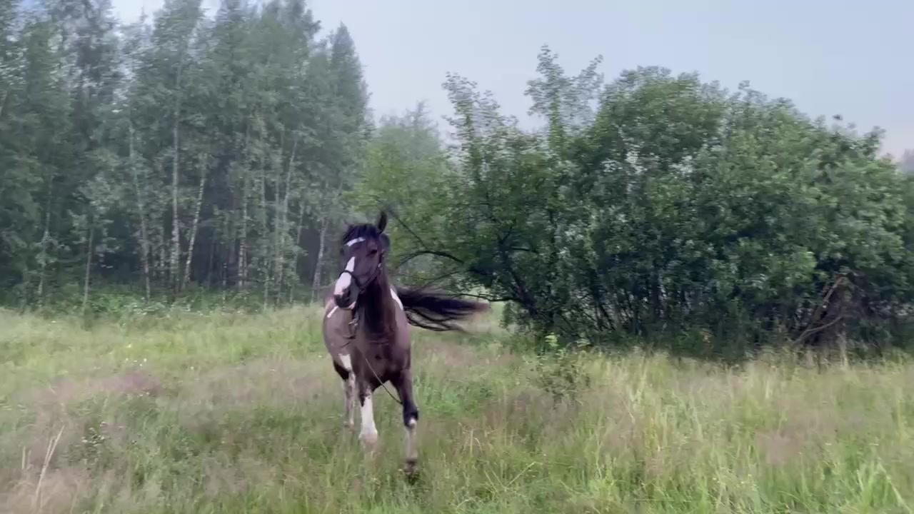@Бурмакина Дарья