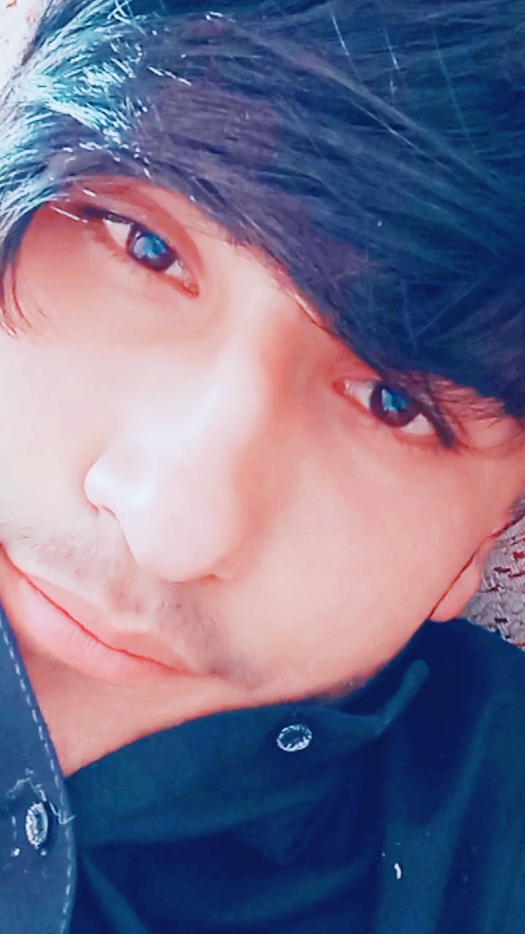 @shahinbaghalani8