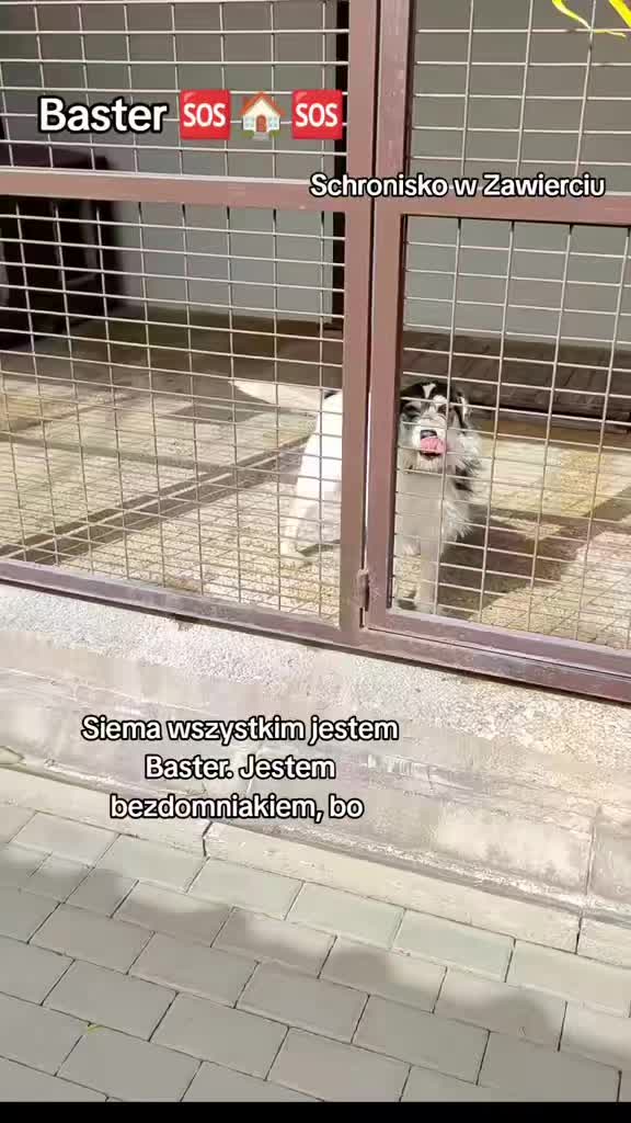 @Bezdomniaki_ze_śląska