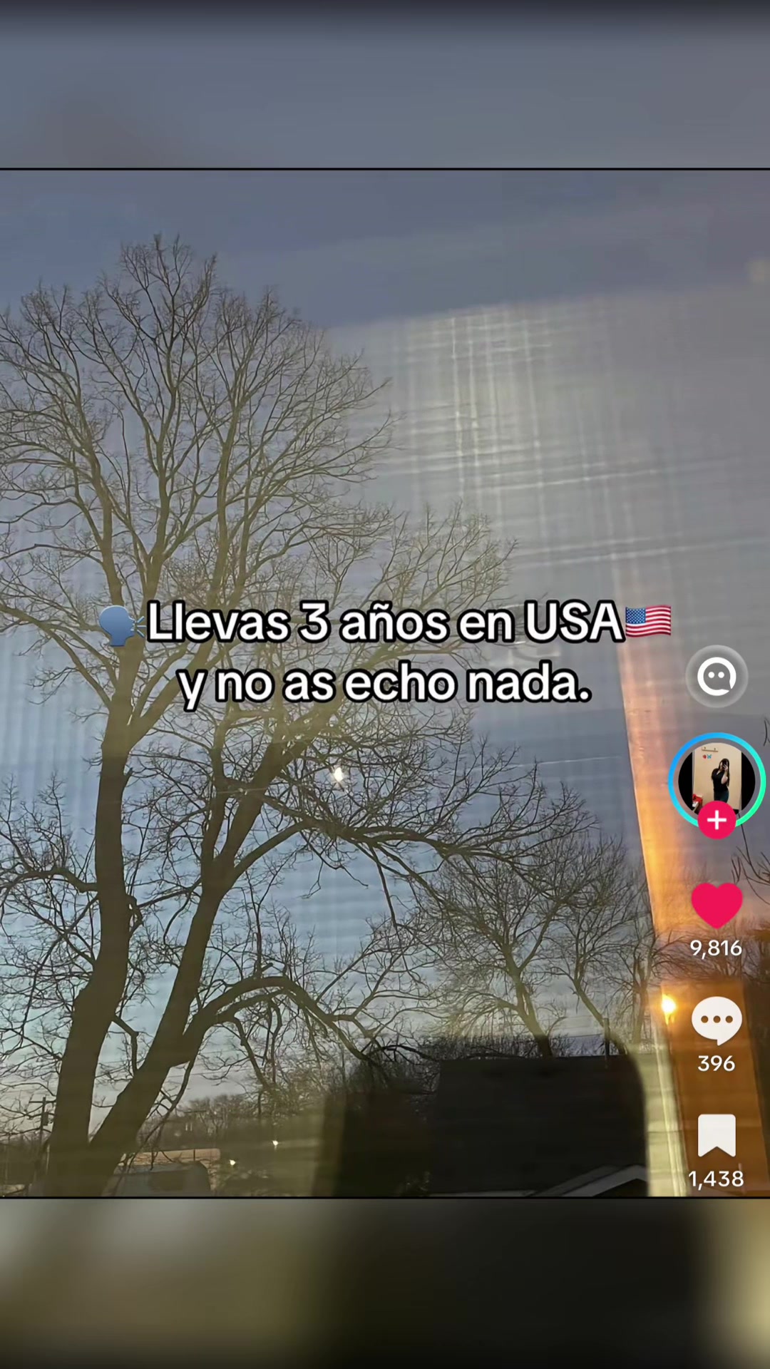 @Sarita flore