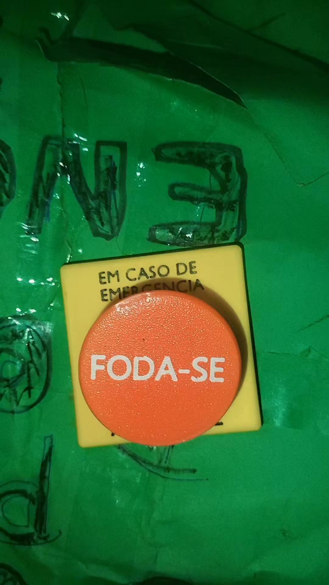 @futura_modelo