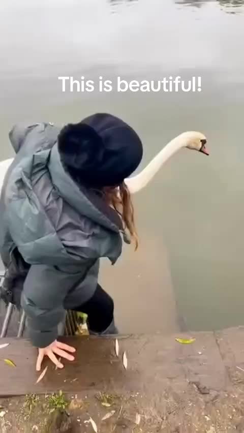 @account 17