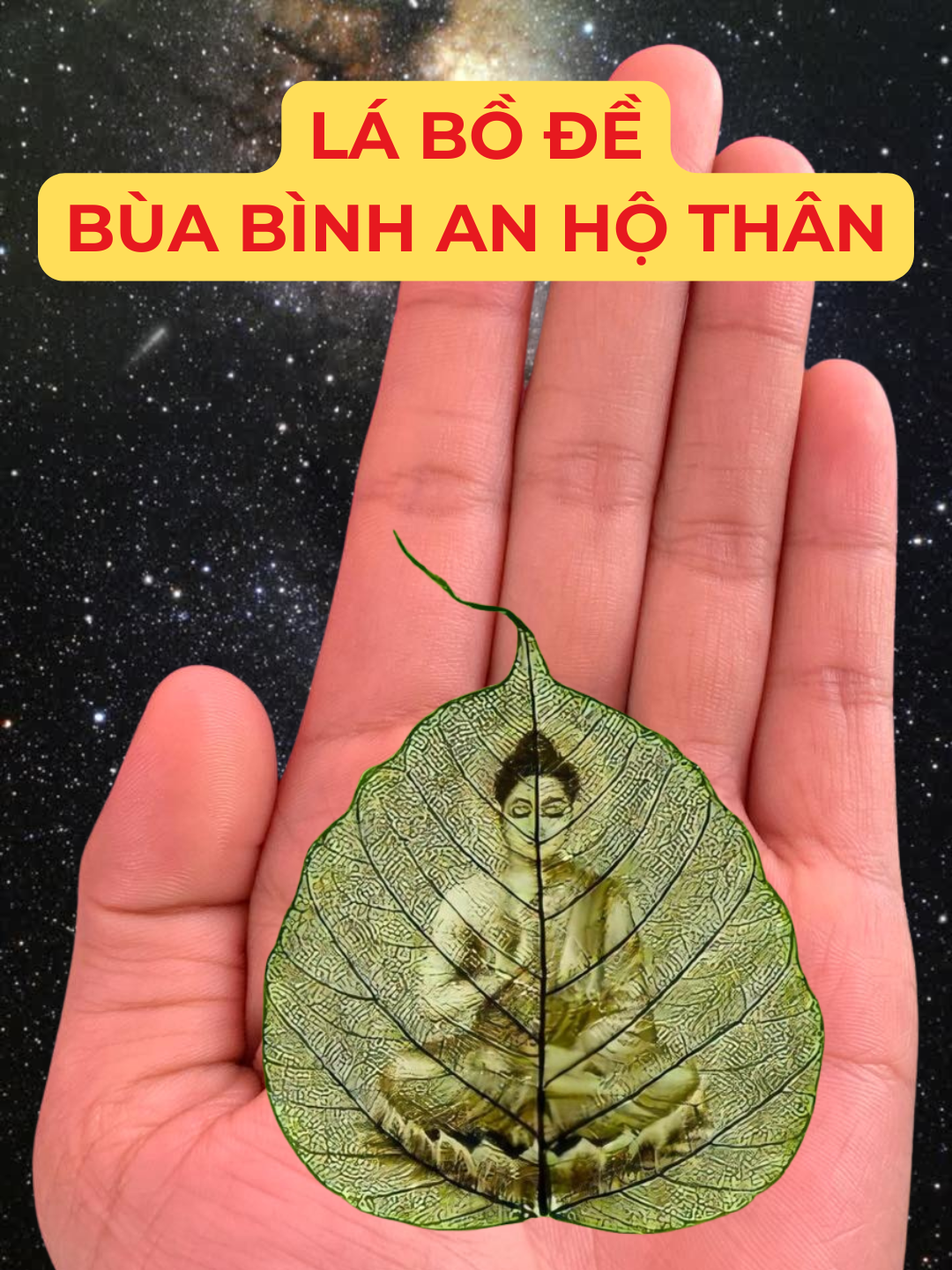@Học Xem Chỉ Tay