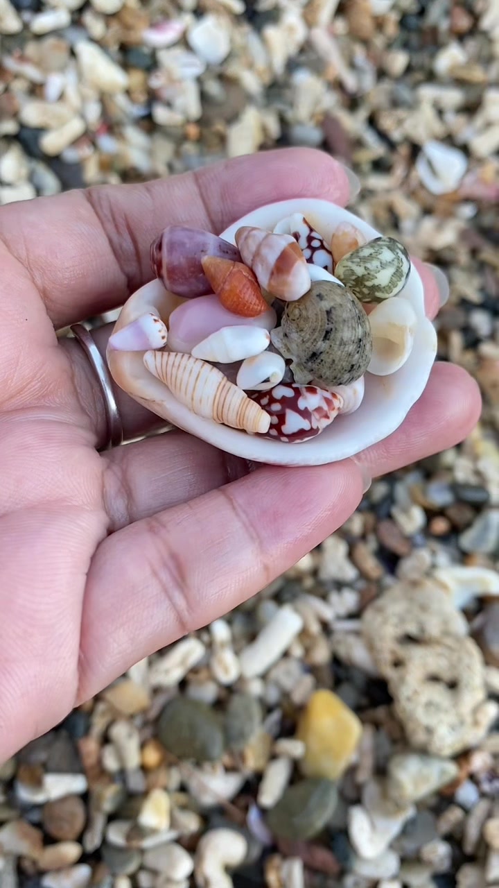 @Seaglass Goddess ღ