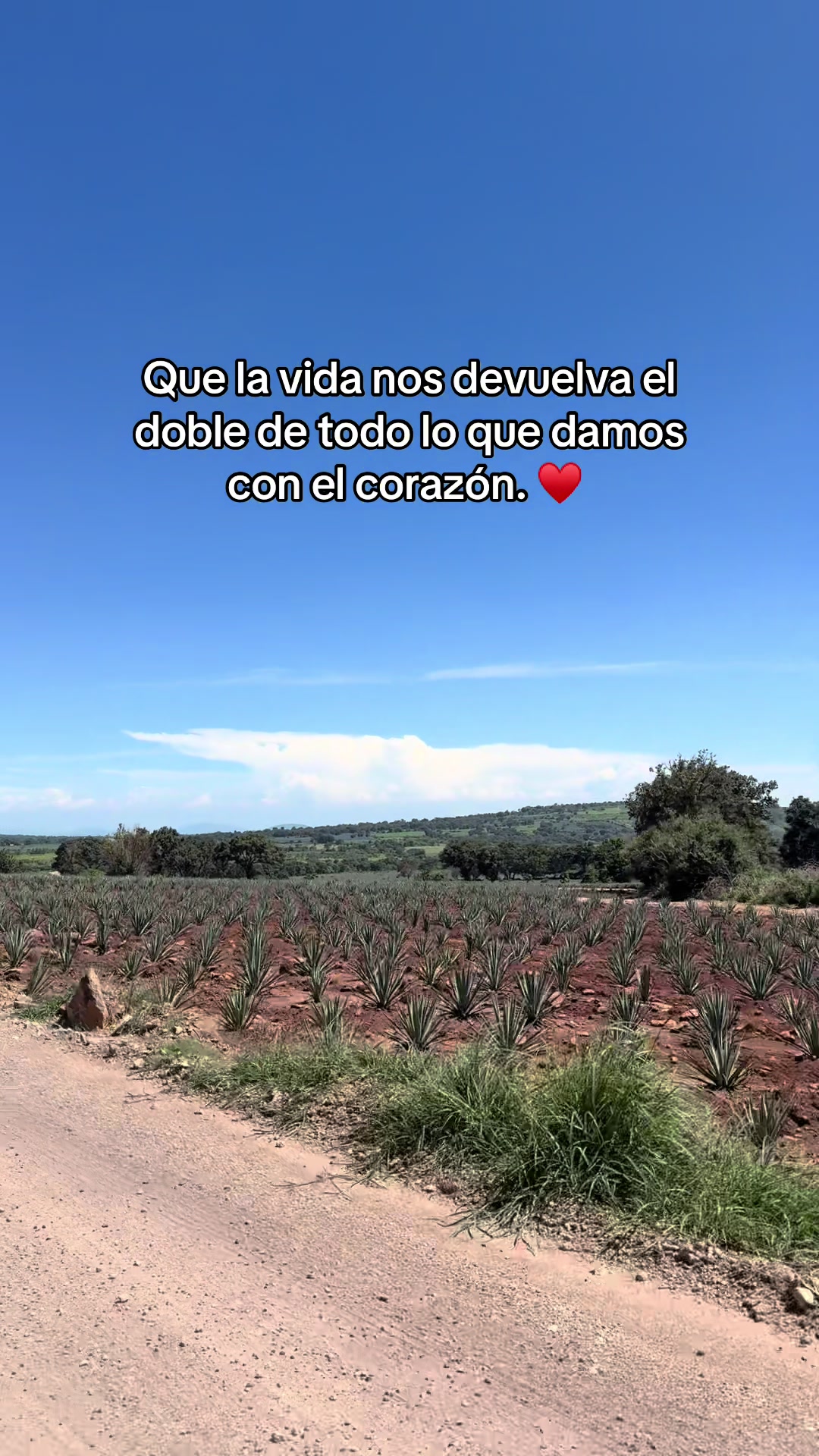 @Carmen Padilla 🎀