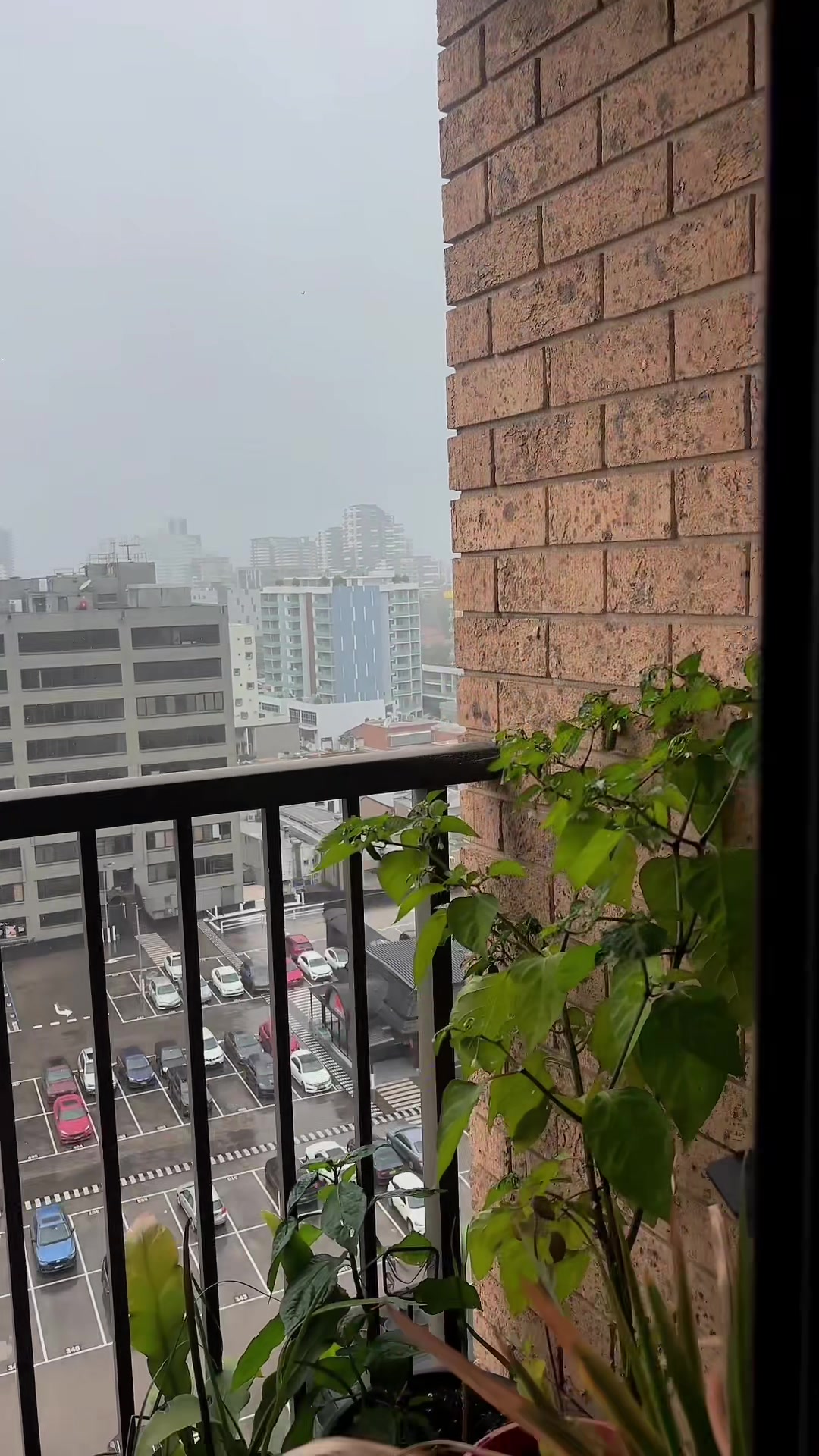 @ठूली🧿🧿🧿🧿