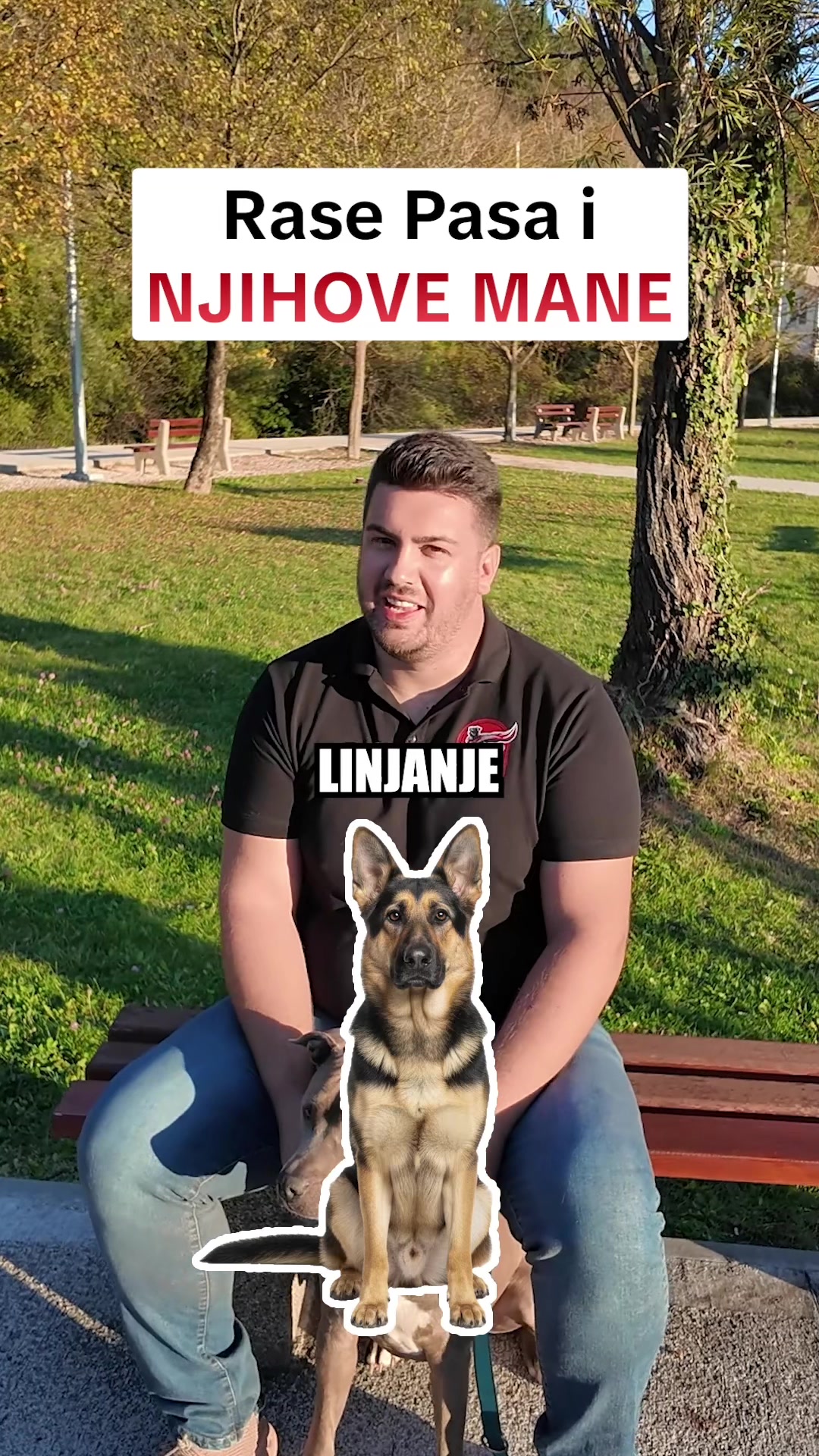 @superdog.akademija