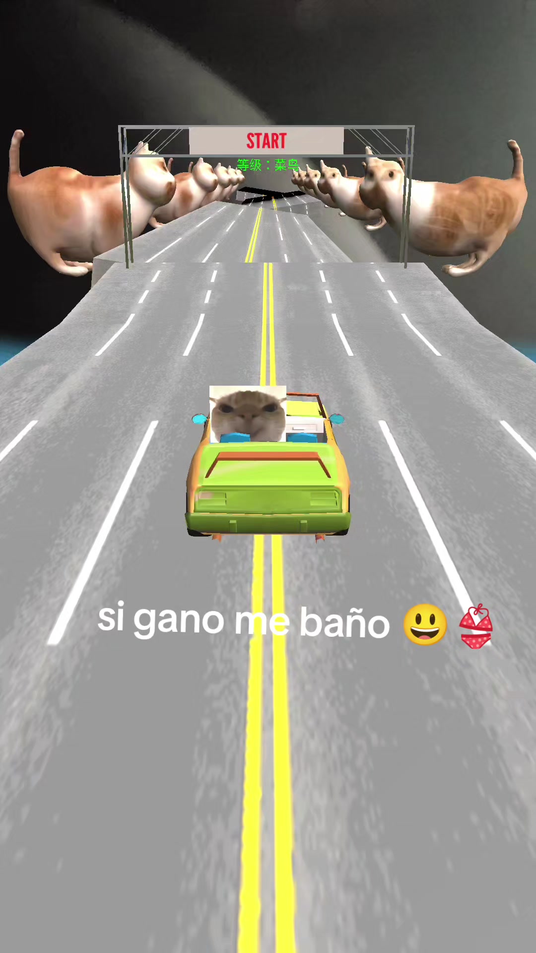 @nataly orellana