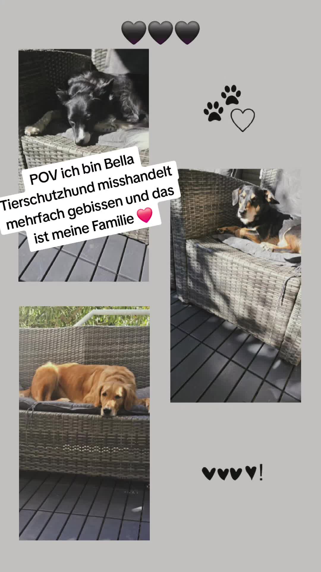 @Tatjana & Bella