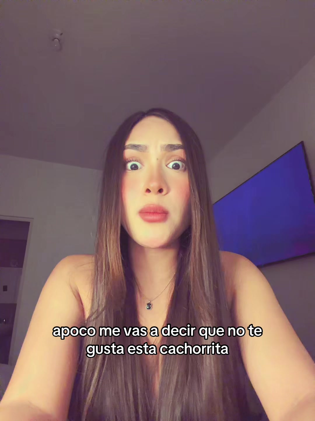 @nicolehertor