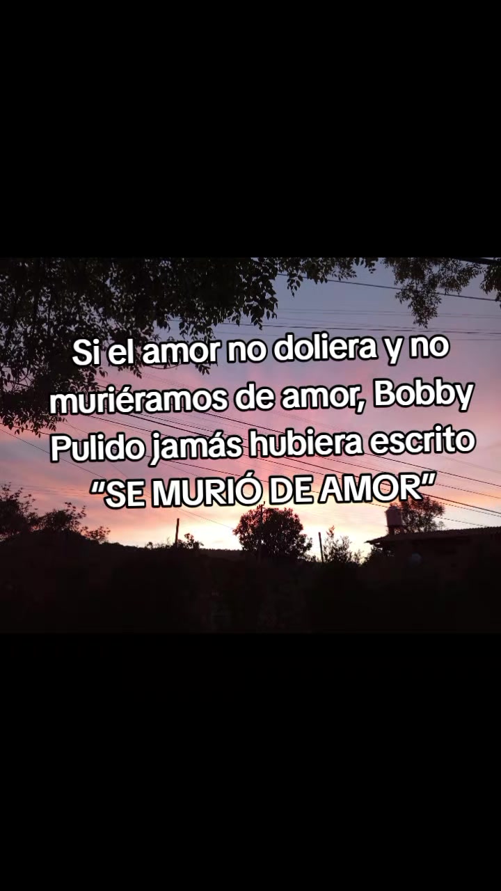 @Brenda Alonso