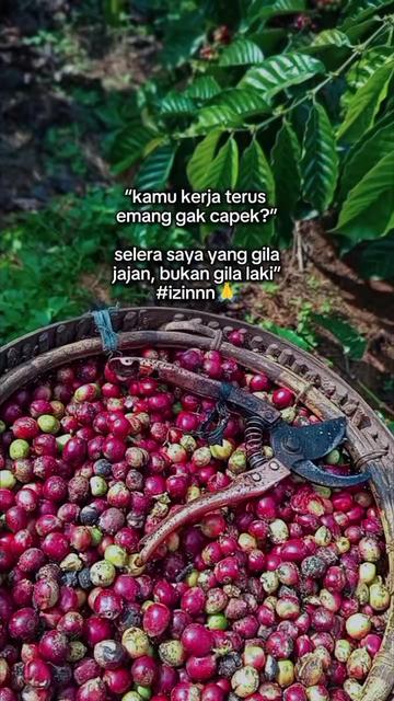 @PetaniMuda