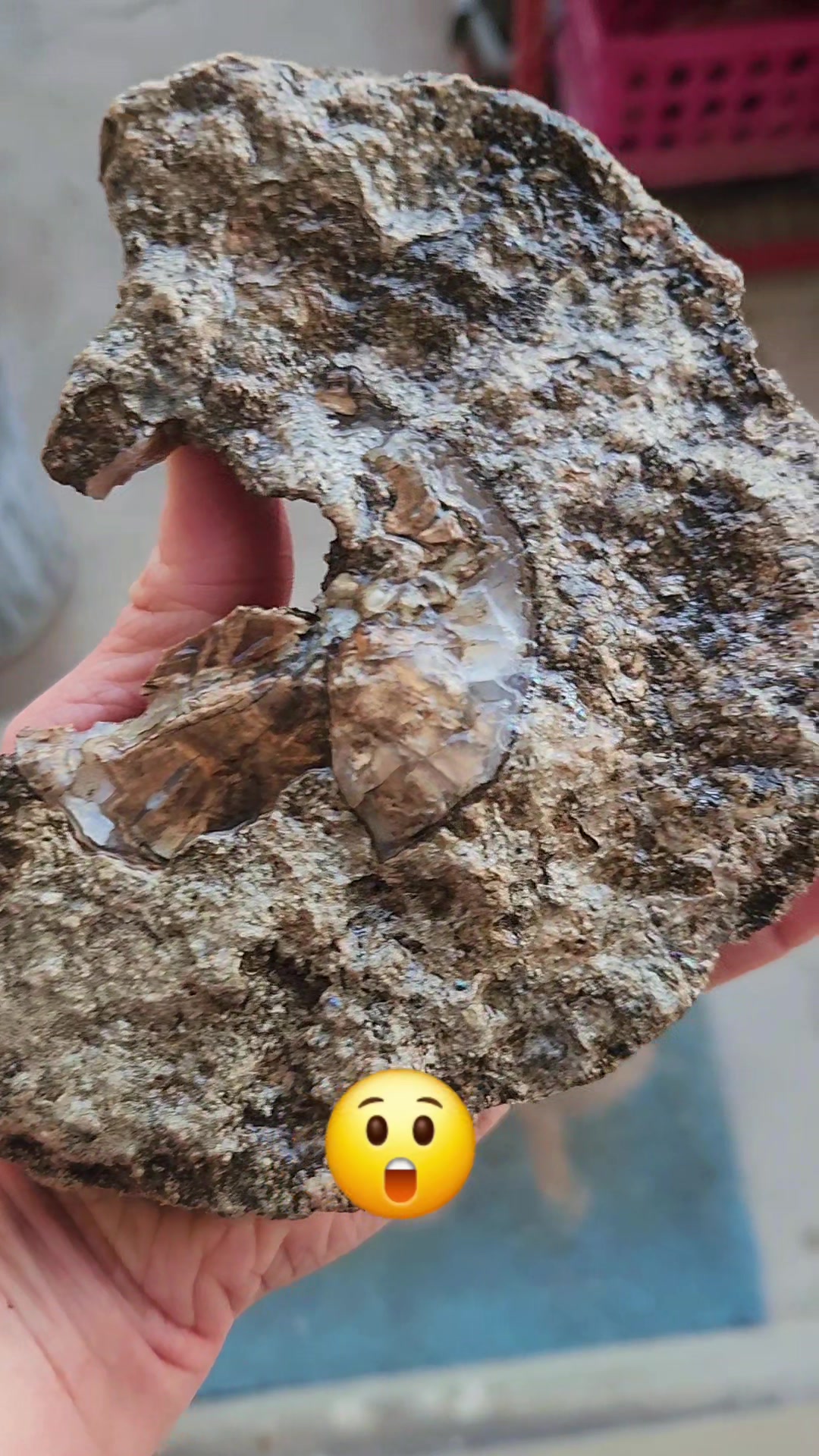 @EarthyFinds