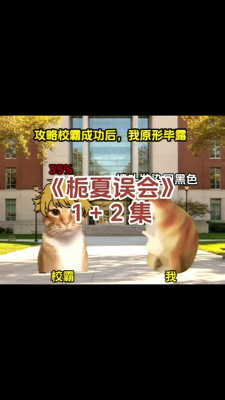 @catmeme4239