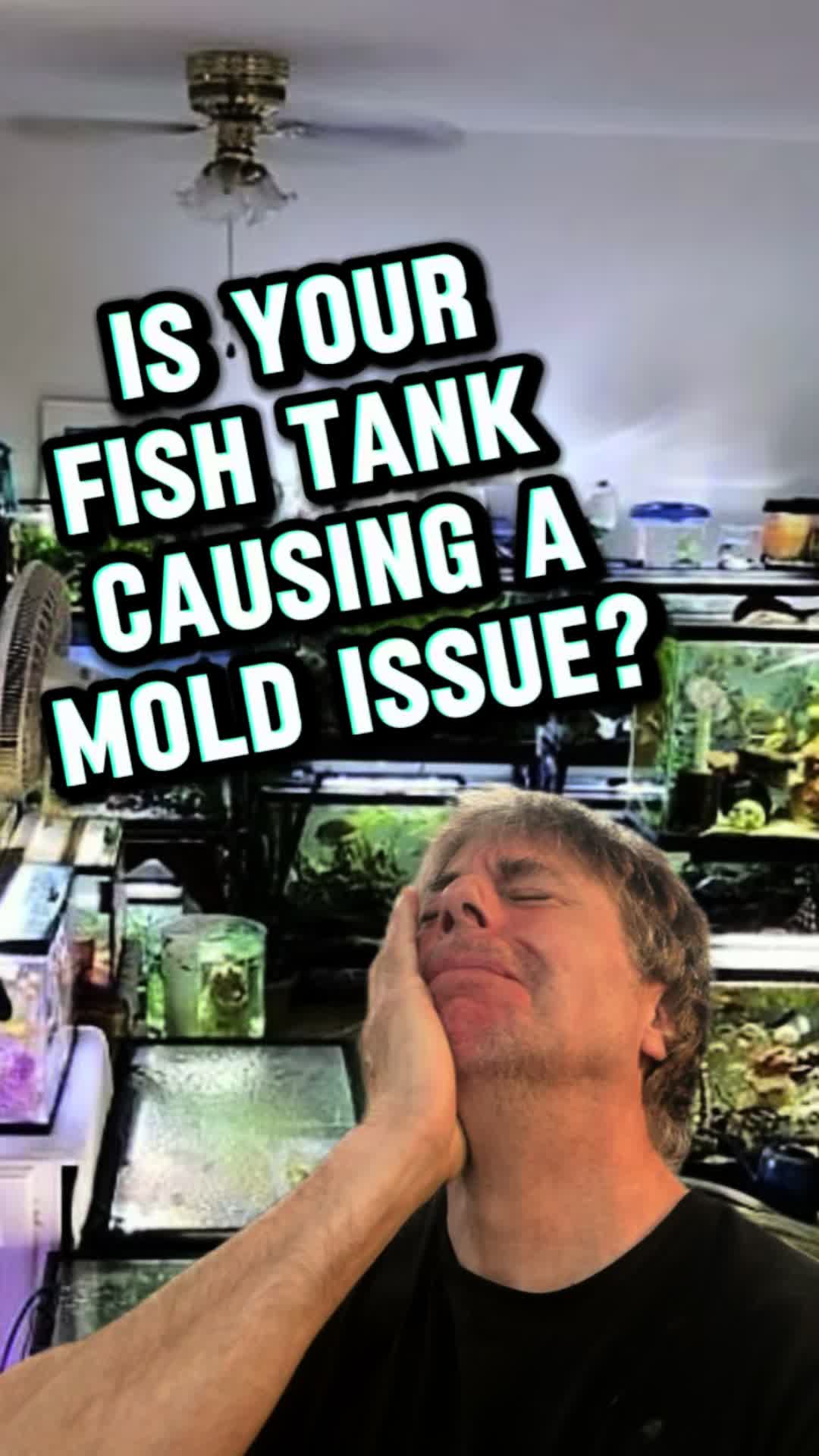 @Long Island Mold Guy