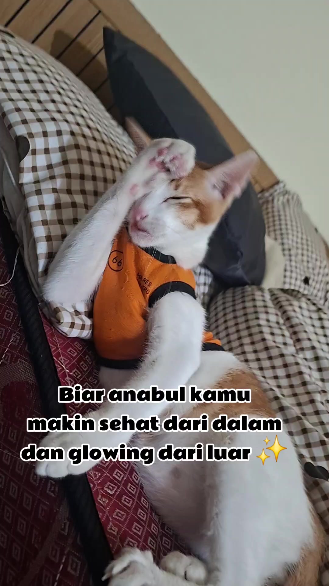 @itsminjiso