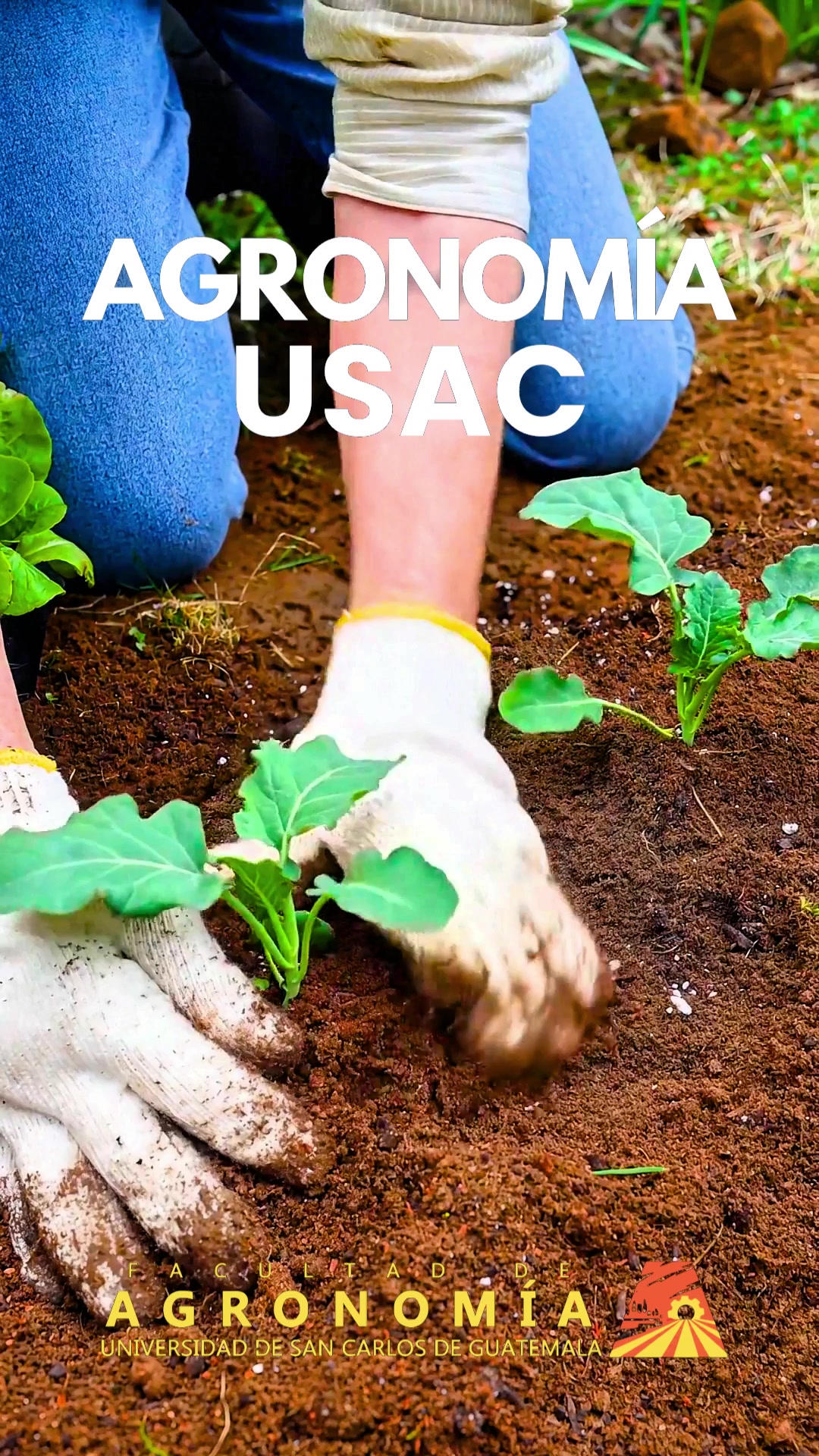 @edUSAC