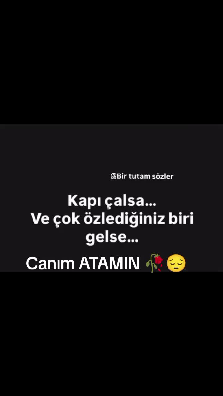 @❤️ Alimirzayeva❤️