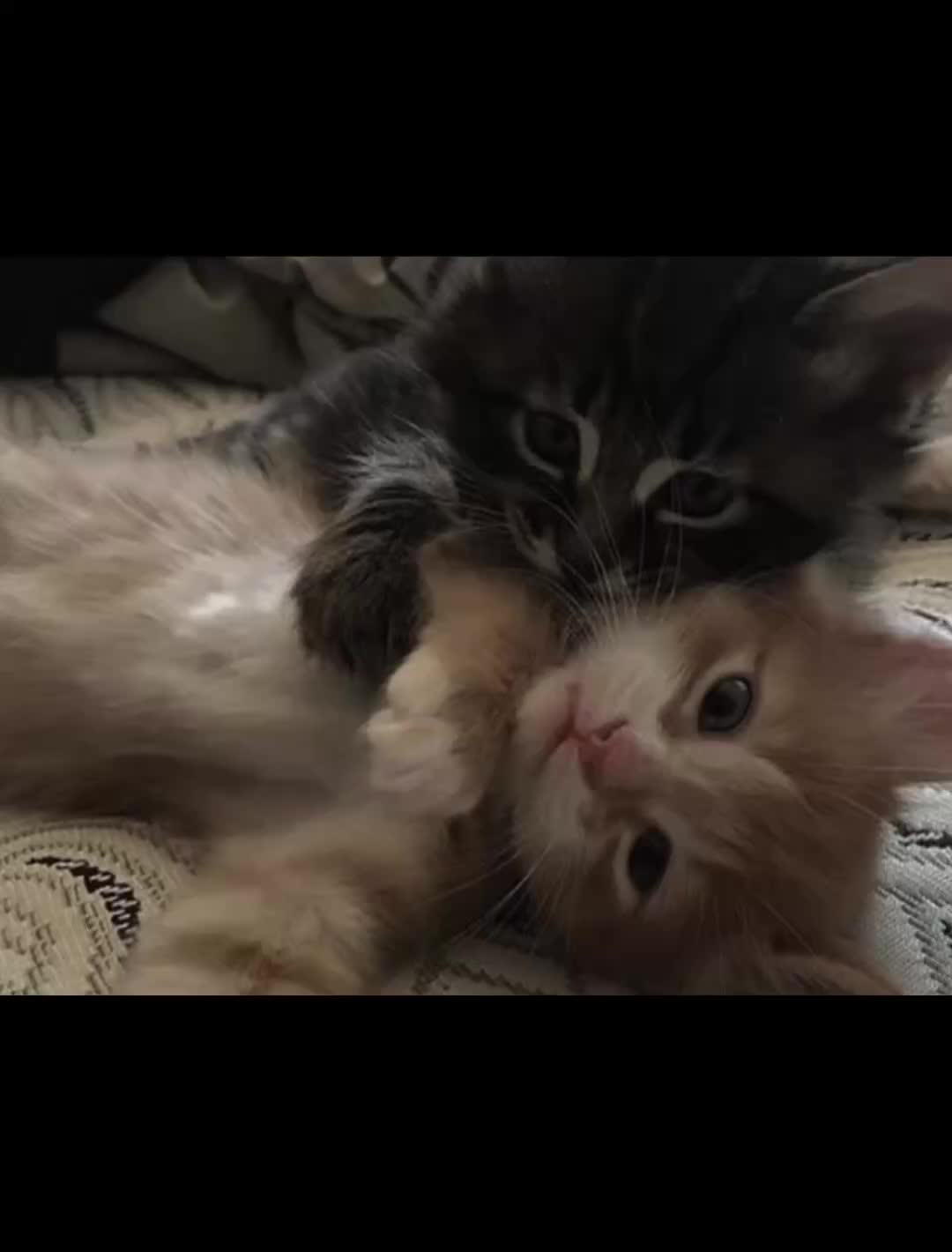 @Клубника