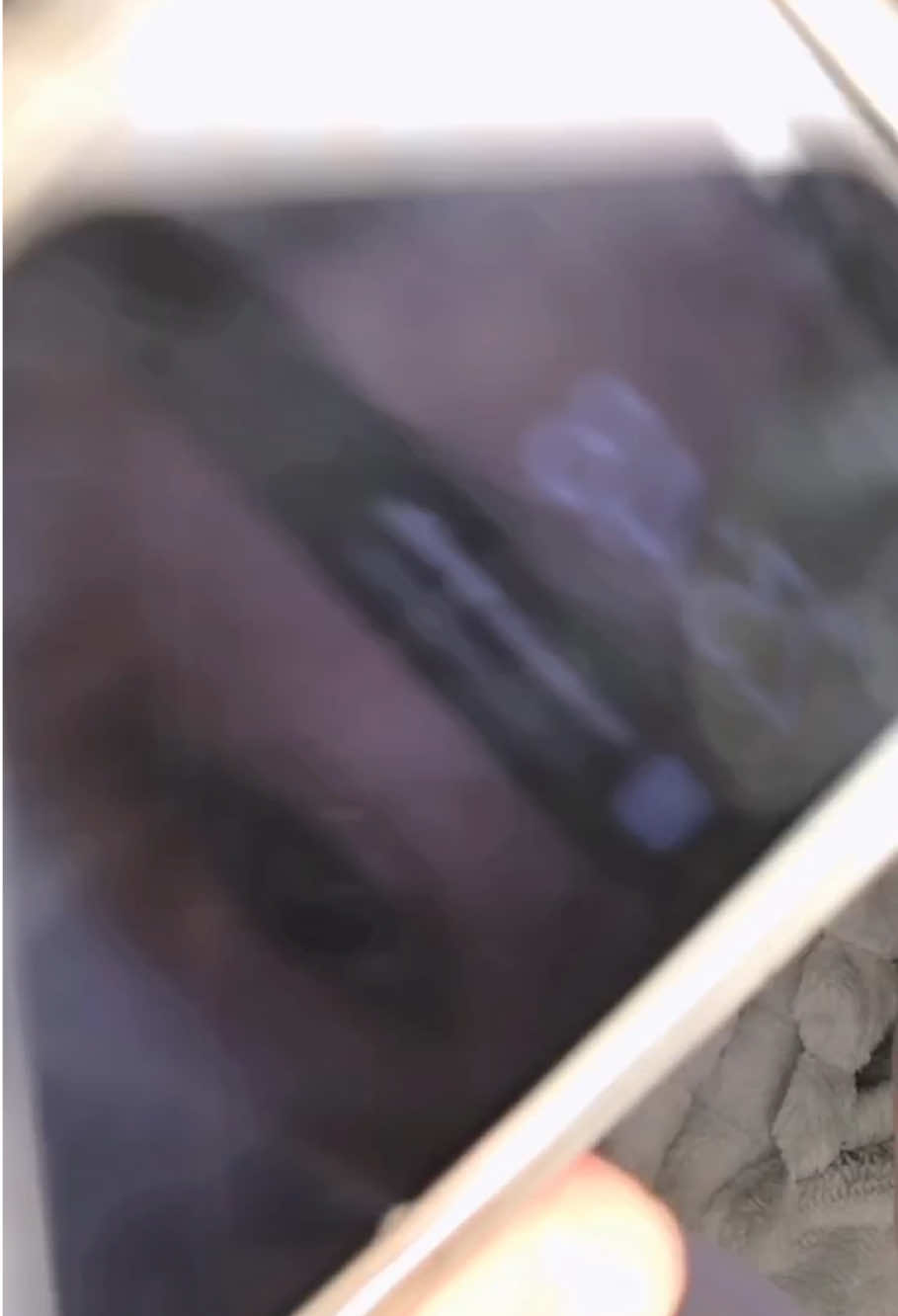 @PITALOKA