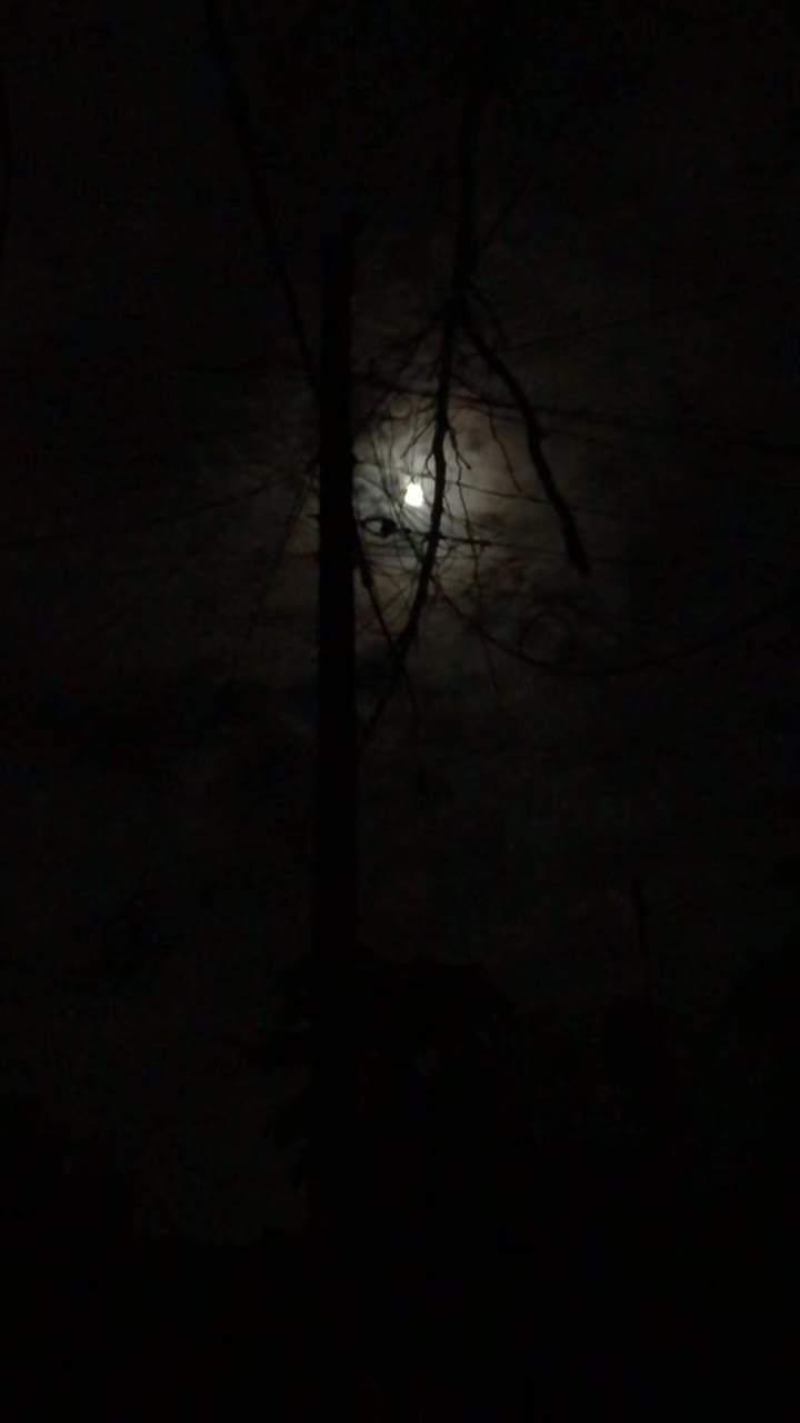 @SYLHETI  FUA.🖤🥰