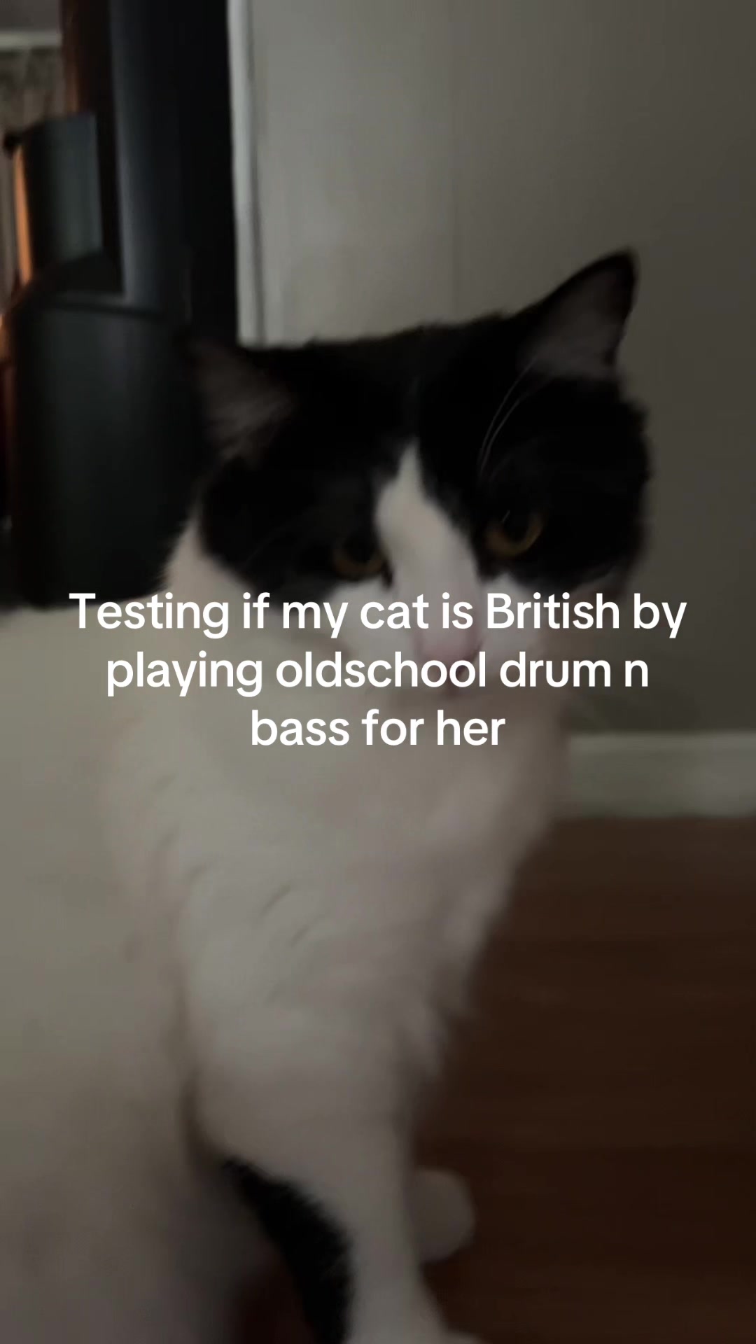 @P S Y D S T E P