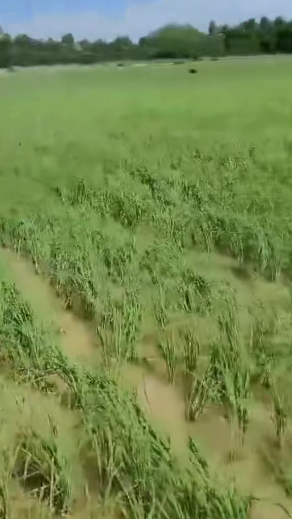 @नायक जय बिक्रम सिंह
