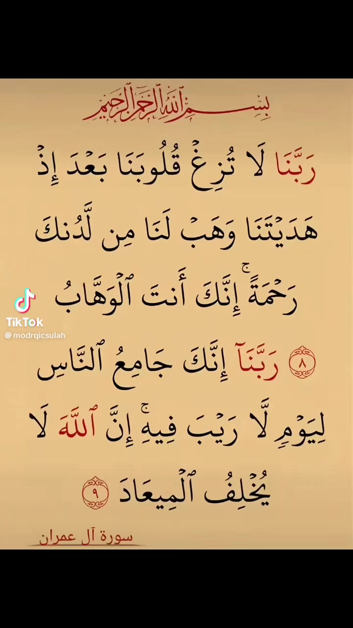 @الاسسسود ابوسند