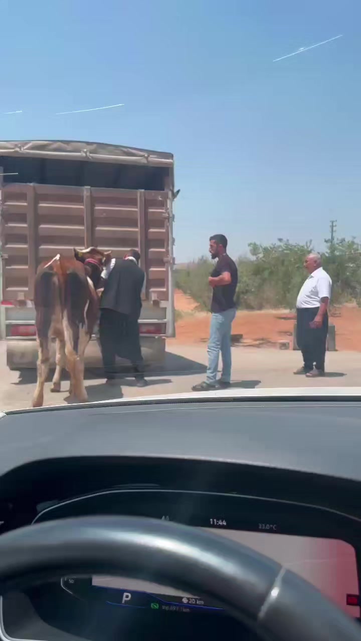 @Cebrail bekmezci