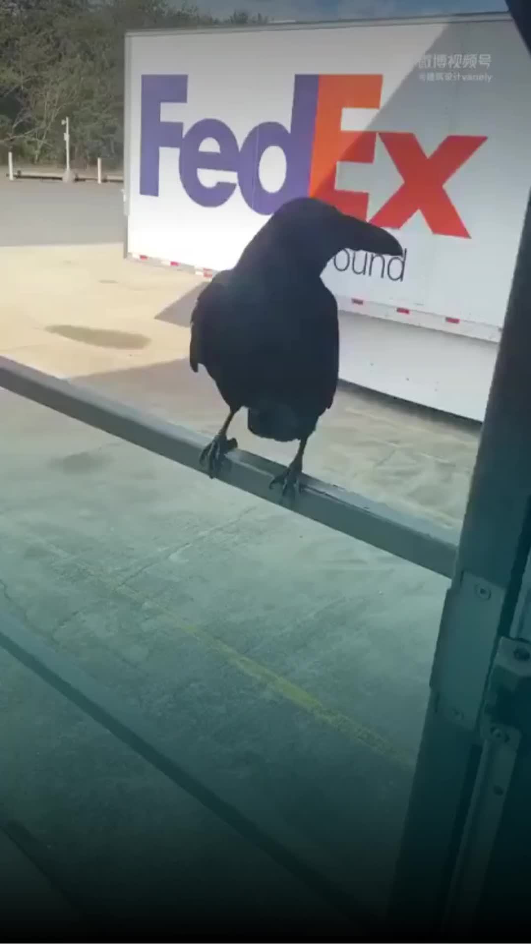 @Entre l&iacute;neas