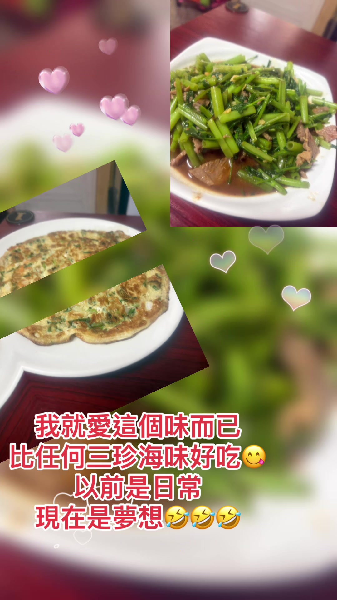 @🐭洋鼠鼠🐭