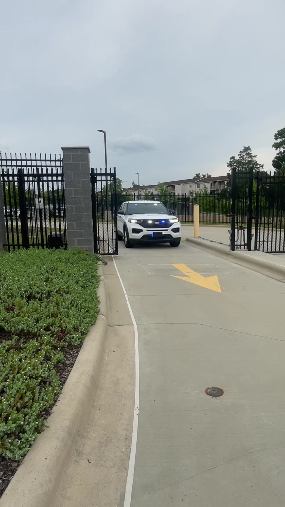 @code3cmpd