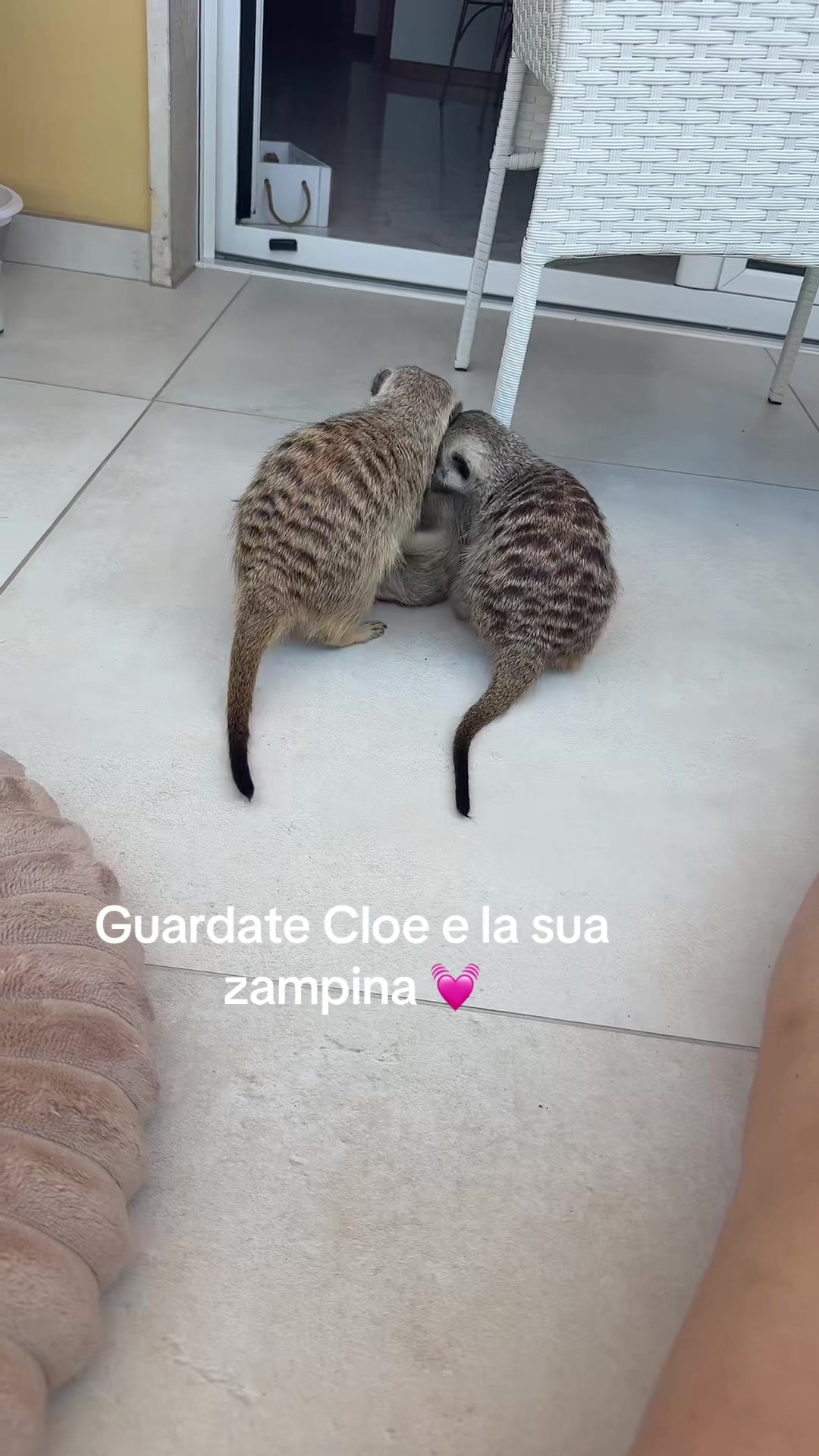 @agata17303