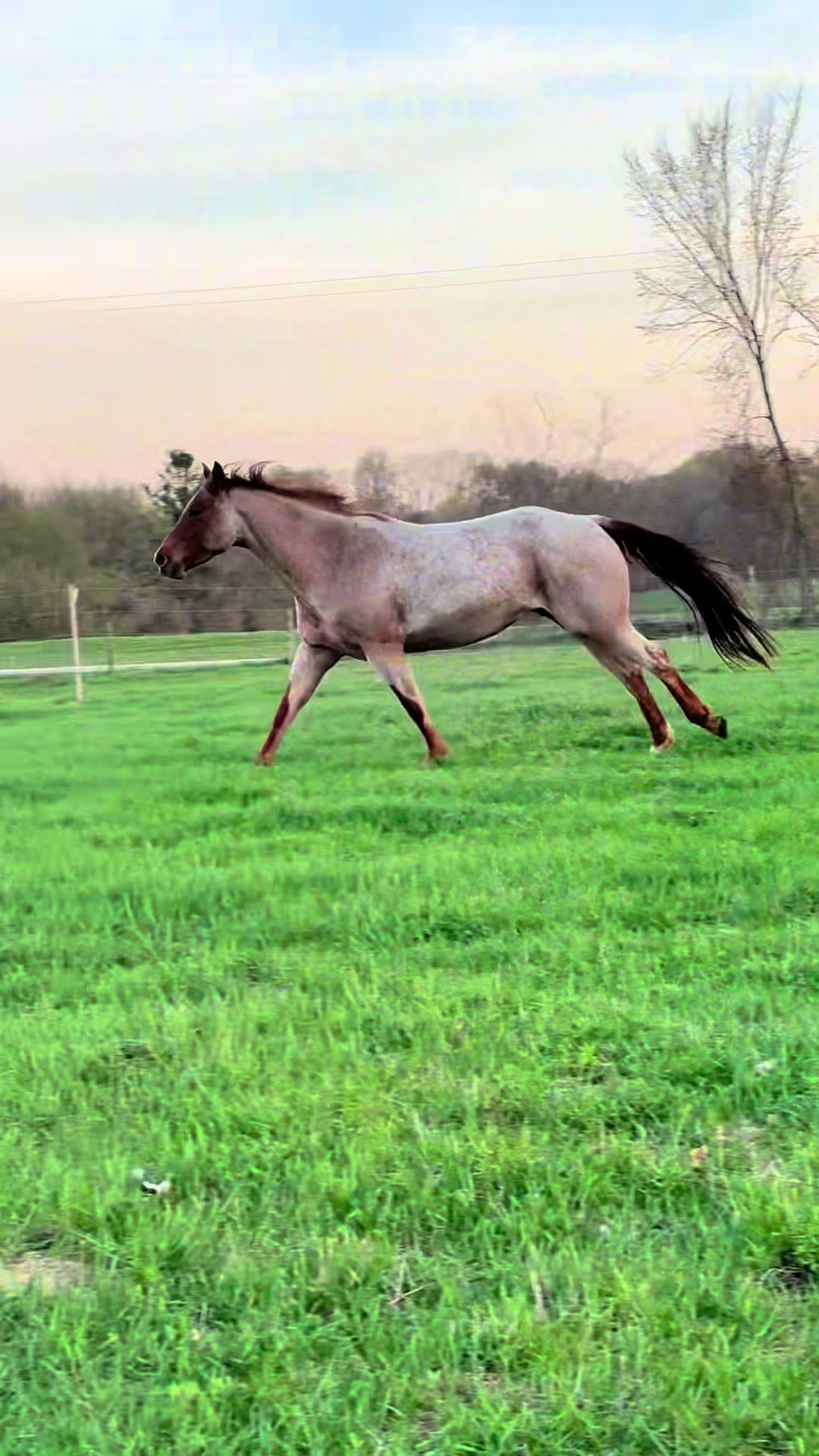 @eastwood_homestead