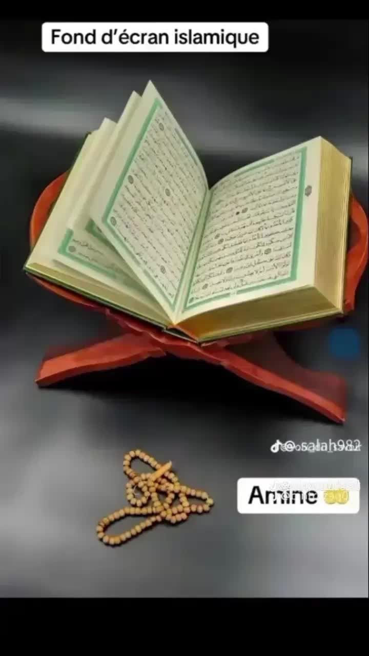 @🌺♡M♡๑O🌸