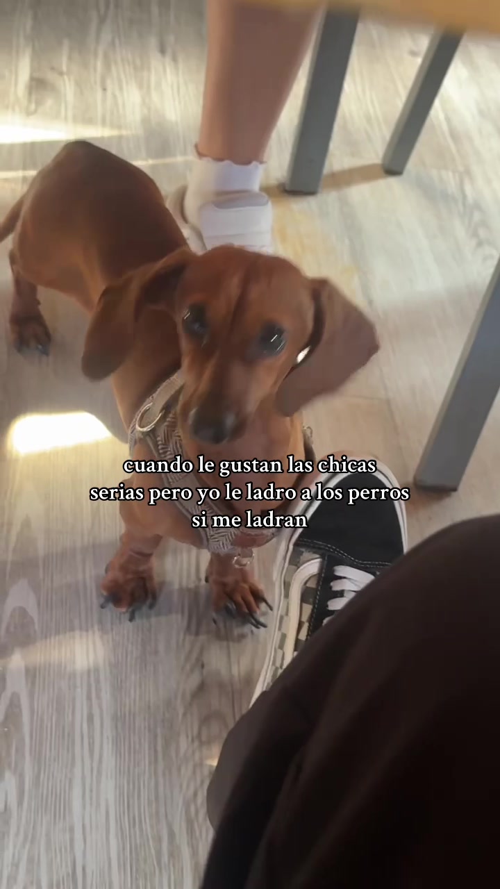 @ℑ𝔫𝔤𝔯𝔦𝔡