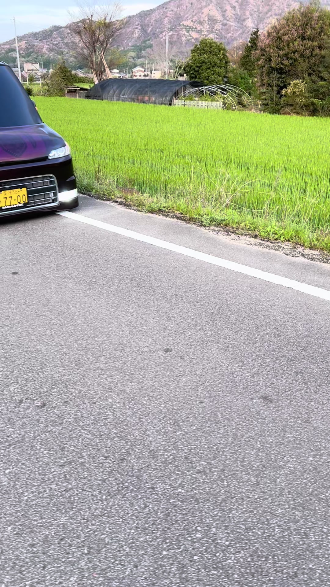 @たんちゃんだおっ